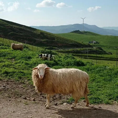 Mandriagiumenta Caltavuturo
